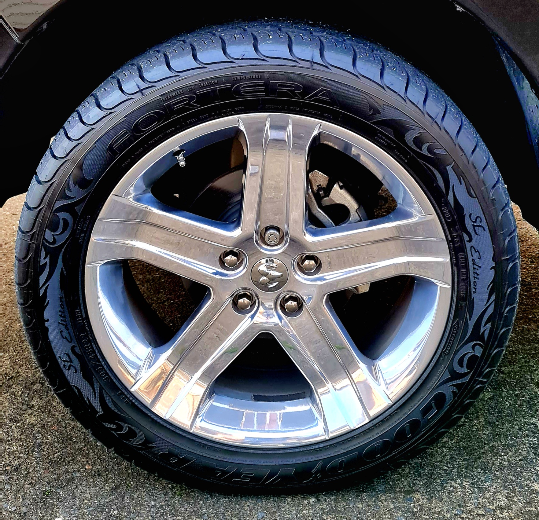 Goodyear Fortera SL Edition