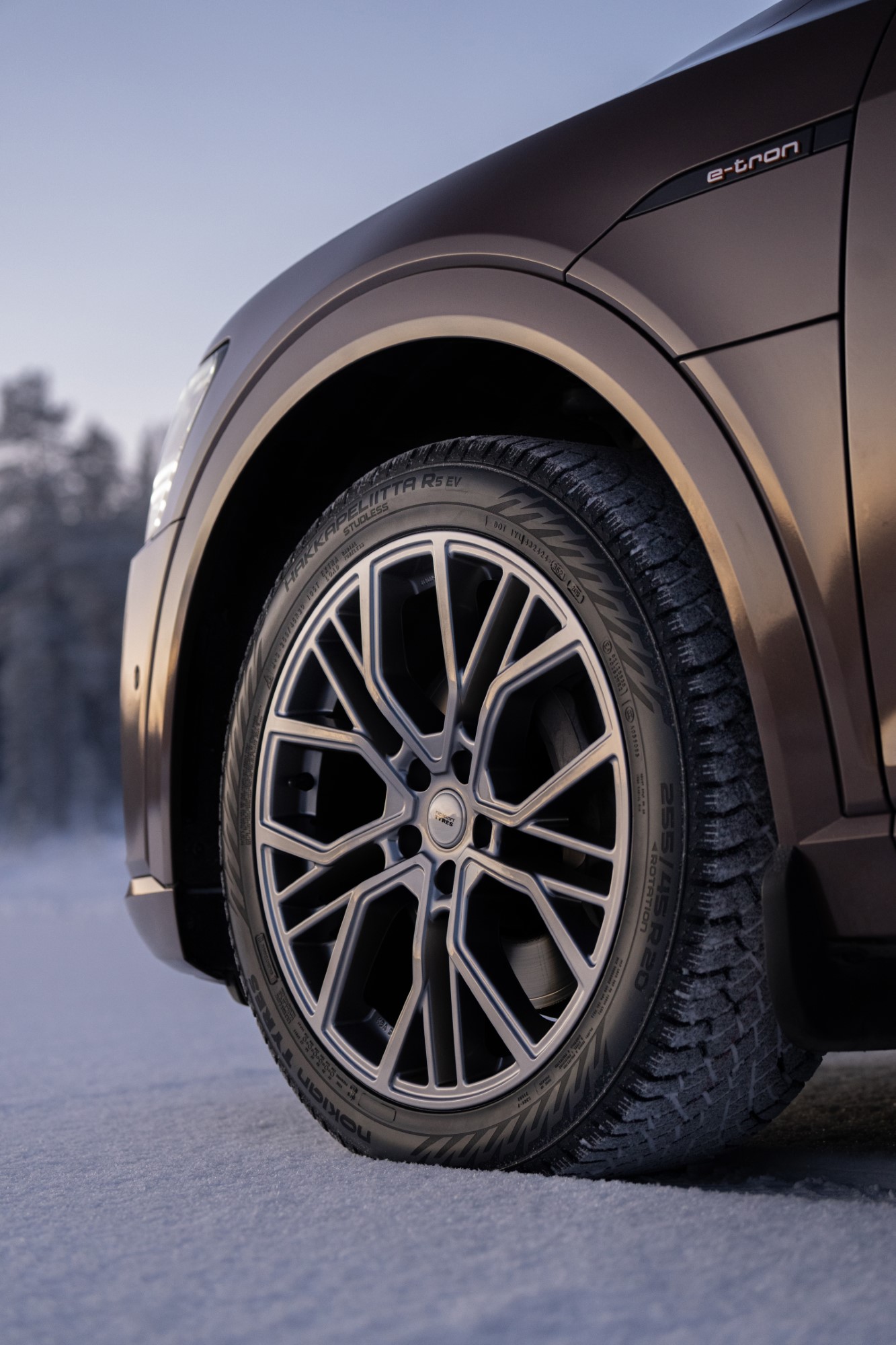 nokian Hakkapeliitta R5 EV