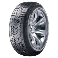 Black Arrow All Season Dart 4S - Official Image