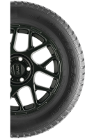 Falken Winterpeak F Ice 1 Sidewall